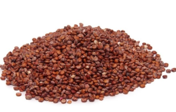 Quinoa Roja